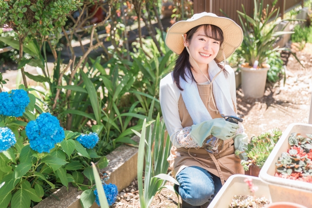 農業の外国人雇用